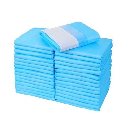 Extra grote hondenpillen voor het trainen van huisdieren 600x600 mm Absorptiecapaciteit 100-2000 ml