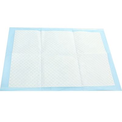 Extra grote hondenpillen voor het trainen van huisdieren 600x600 mm Absorptiecapaciteit 100-2000 ml