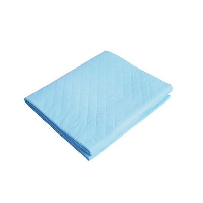 Extra grote hondenpillen voor het trainen van huisdieren 600x600 mm Absorptiecapaciteit 100-2000 ml