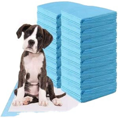 Eenmalige incontinentie L XL Pee Pad Training Pad voor puppy's