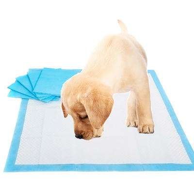 Eenmalige incontinentie L XL Pee Pad Training Pad voor puppy's