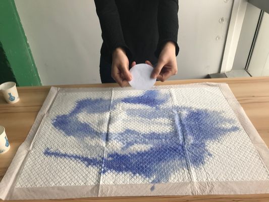 Medisch ziekenhuis Eenmalig verpleegkundige onderkleding waardigheidspapier voor in bed liggende patiënten